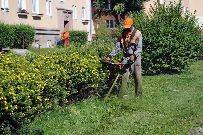 Starostlivosť o verejnú zeleň
