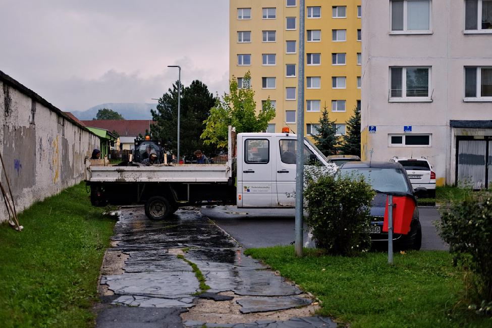 319.jpg